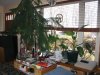 LivRoom_8267.jpg LivRoom_8267.jpg